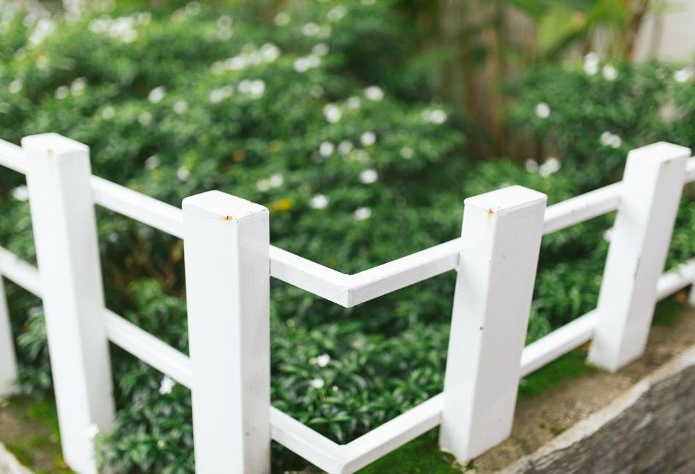 Outdoor Pictures 21