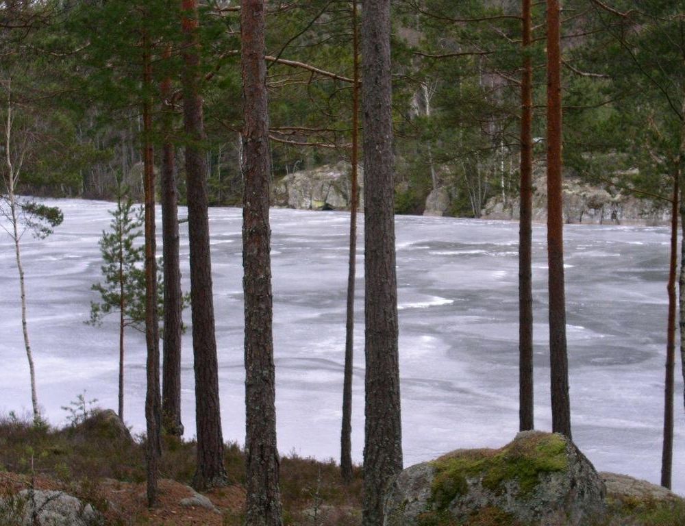 Outdoor Pictures 15