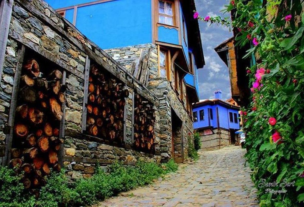 Outdoor Pictures 15