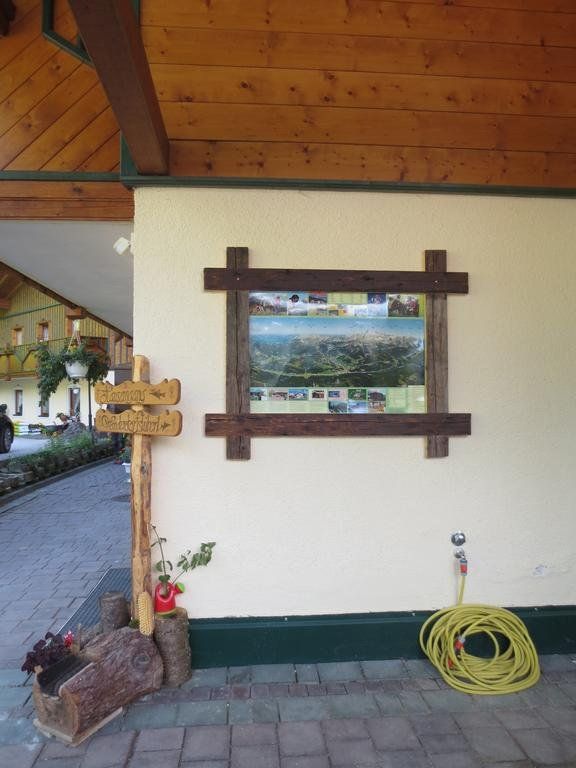 Outdoor Pictures 8