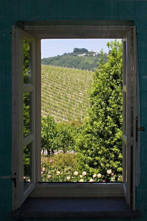Outdoor Pictures 15