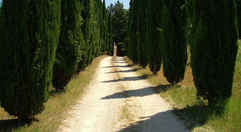 Outdoor Pictures 17