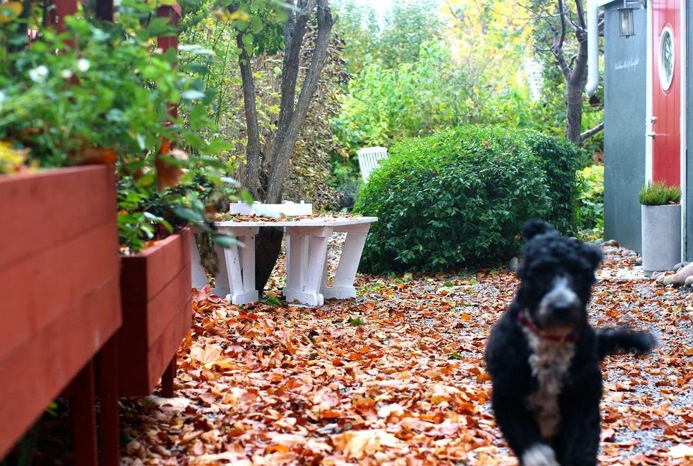 Outdoor Pictures 17