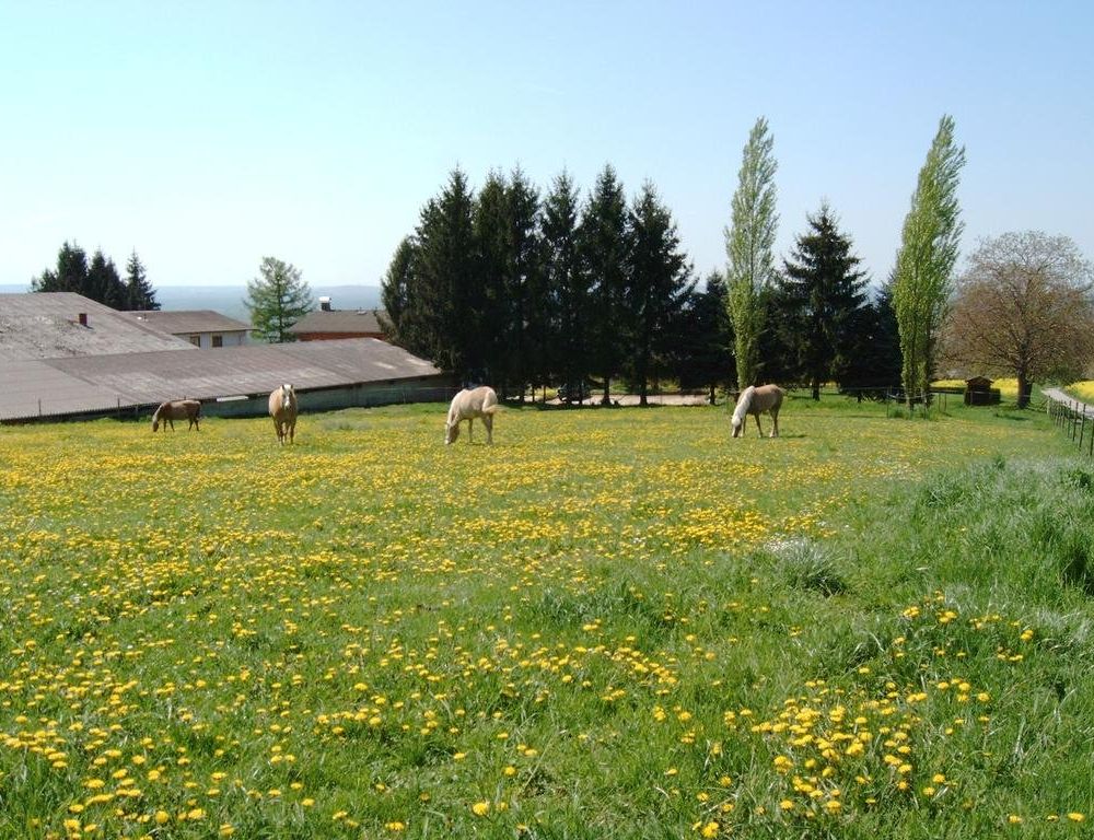 Outdoor Pictures 12
