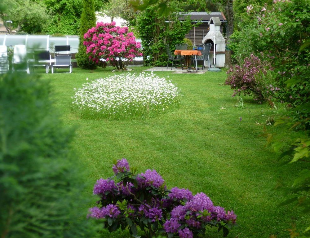 Outdoor Pictures 20