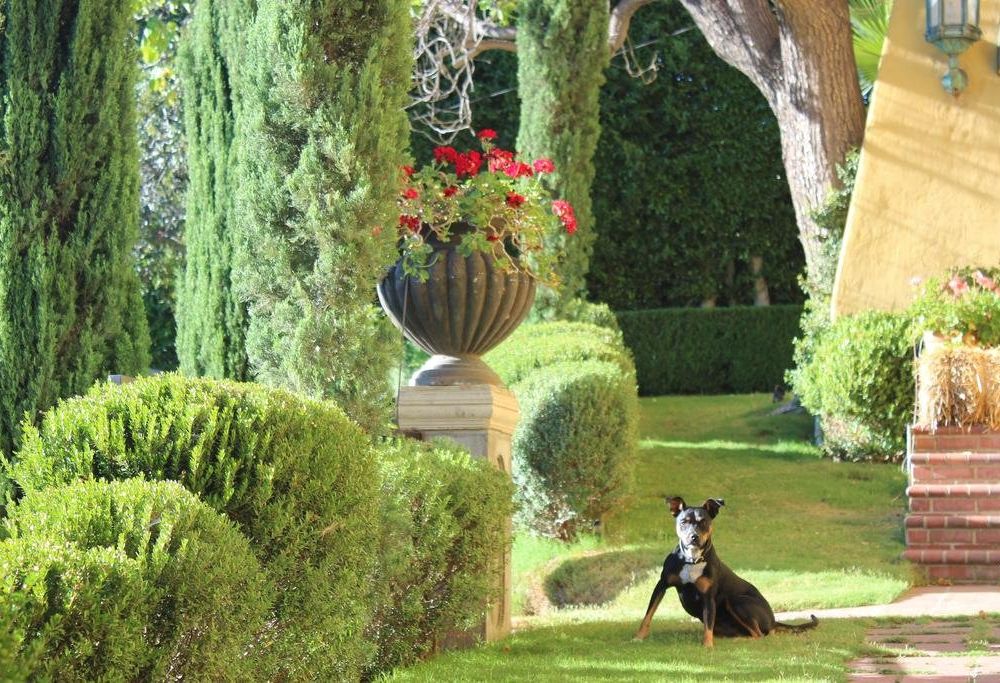 Outdoor Pictures 6