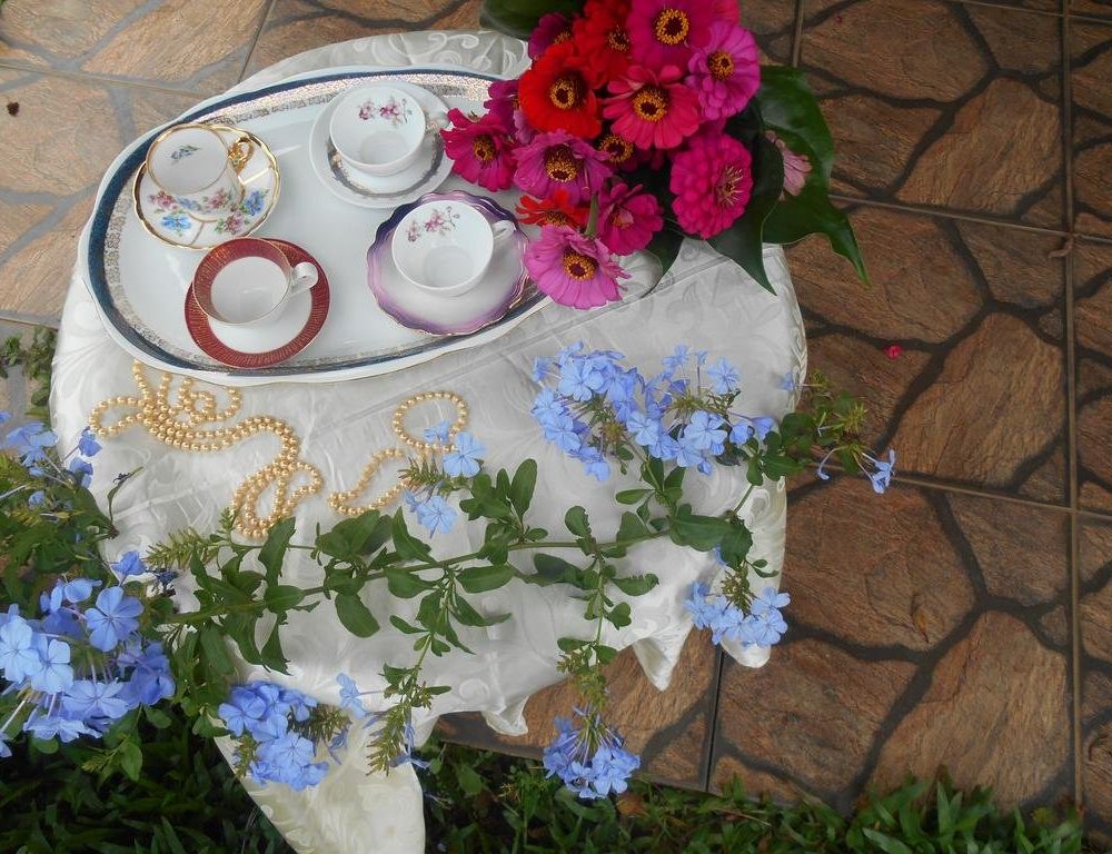 Outdoor Pictures 10
