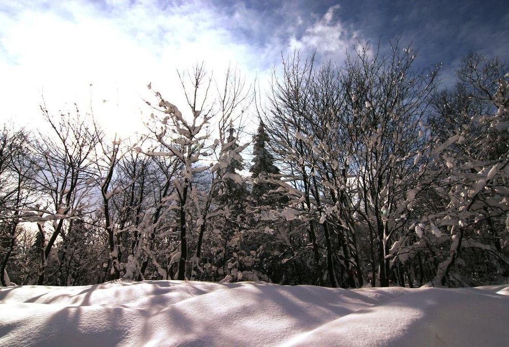 Outdoor Pictures 14