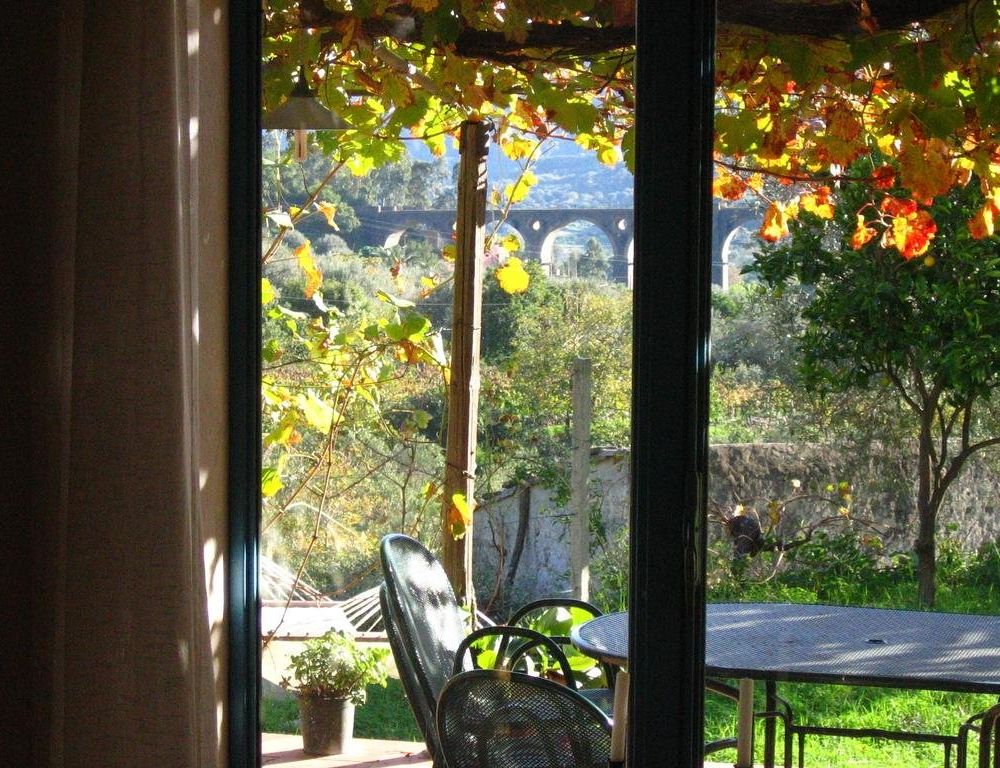 Outdoor Pictures 7