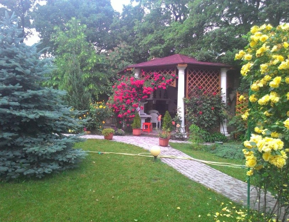 Outdoor Pictures 18