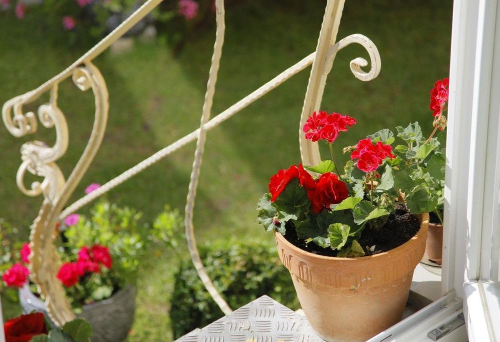 Outdoor Pictures 9