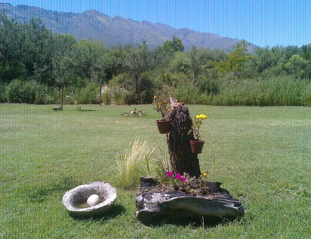 Outdoor Pictures 18