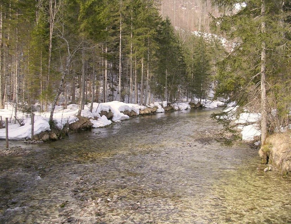 Outdoor Pictures 19