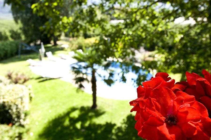 Outdoor Pictures 16
