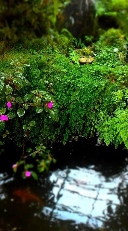 Outdoor Pictures 7