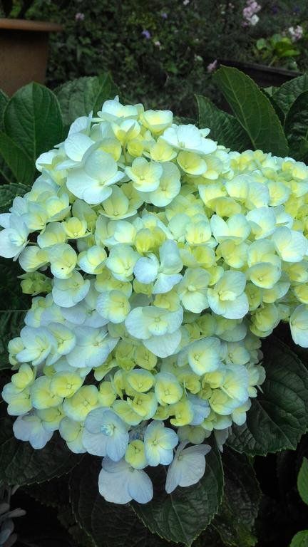 Outdoor Pictures 15