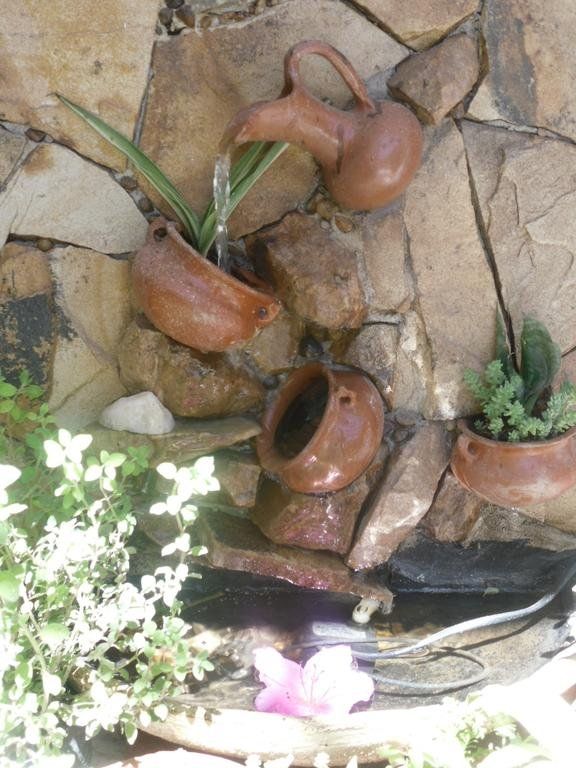 Outdoor Pictures 11