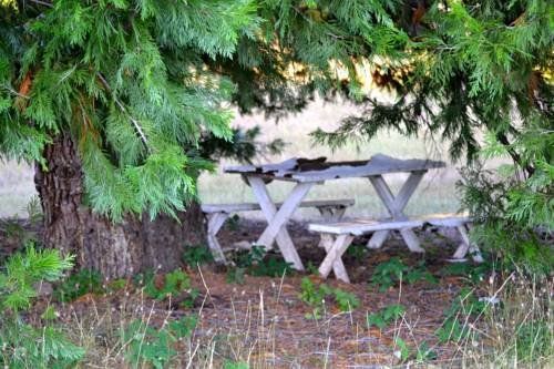 Outdoor Pictures 17