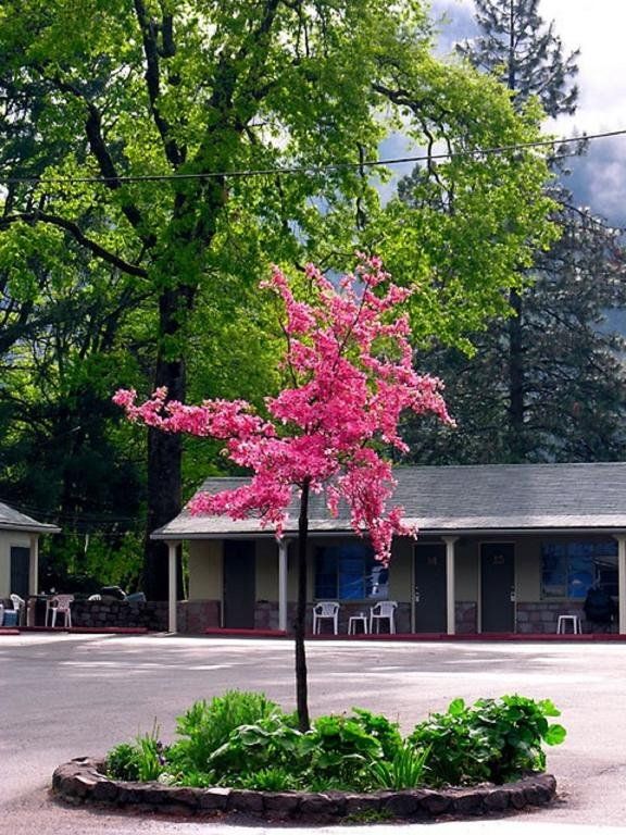 Outdoor Pictures 23