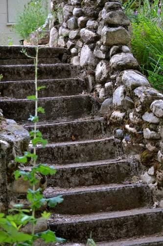 Outdoor Pictures 22