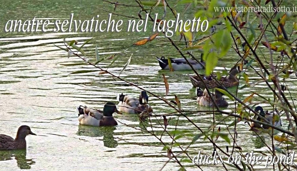 Outdoor Pictures 22