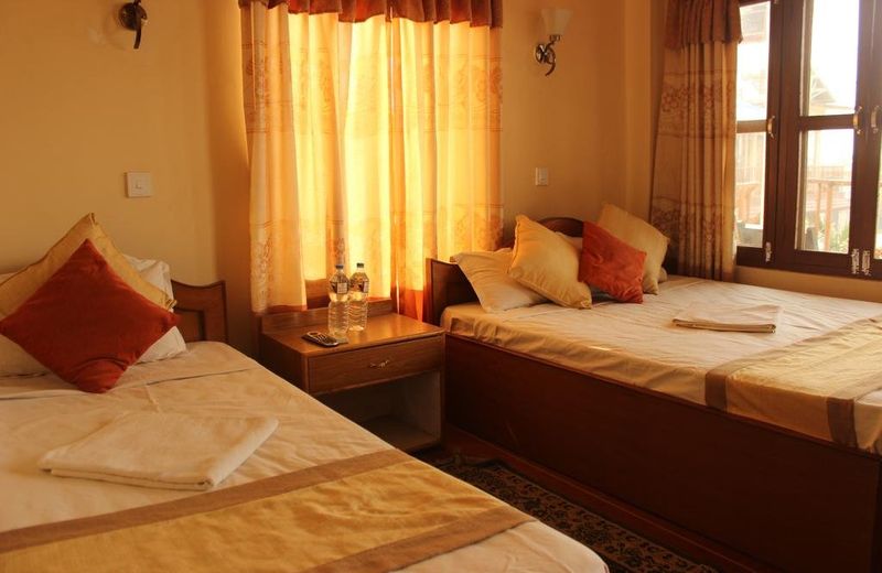 Jungle Wildlife Camp