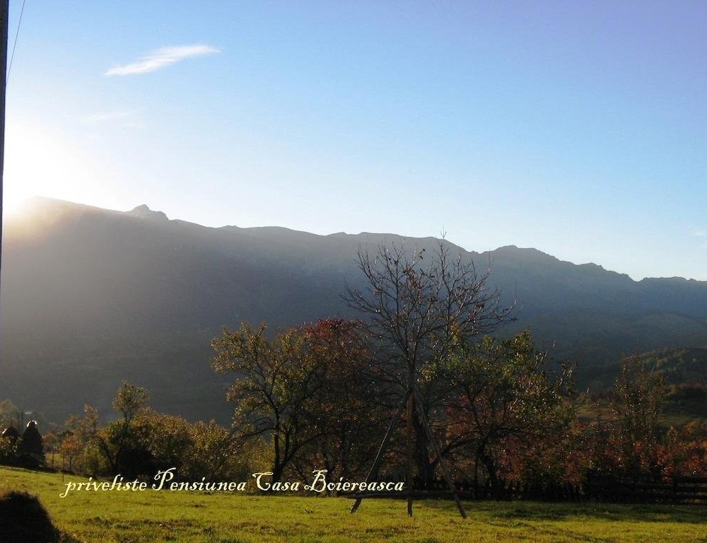 Outdoor Pictures 9