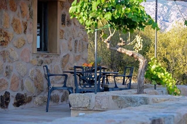 Outdoor Pictures 12