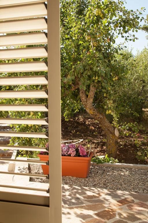 Outdoor Pictures 9