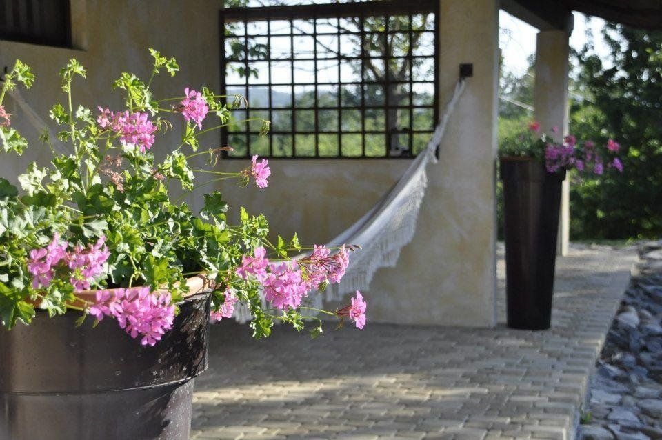 Outdoor Pictures 7