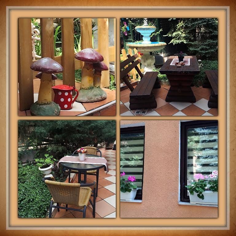 Outdoor Pictures 13