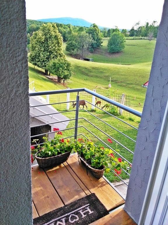 Outdoor Pictures 20