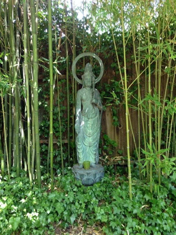 Outdoor Pictures 10