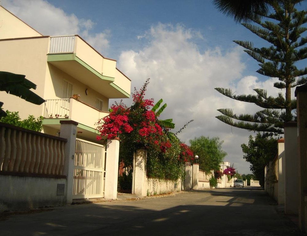 Outdoor Pictures 1