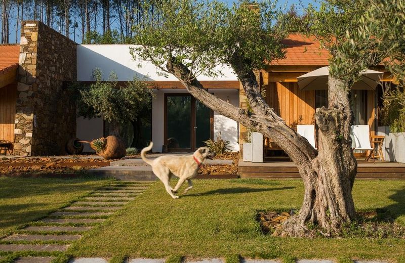TEIMA, Alentejo SW