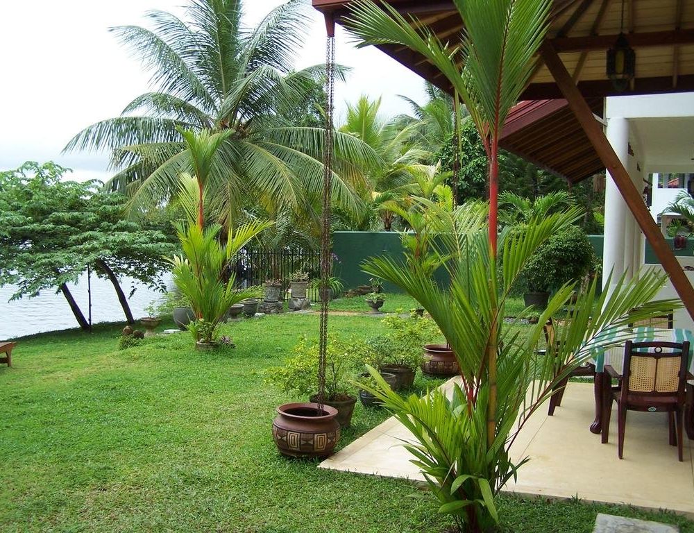 Outdoor Pictures 12