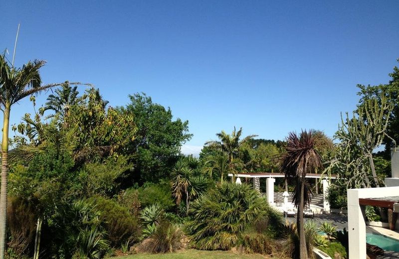 CONSTANTIA OASIS