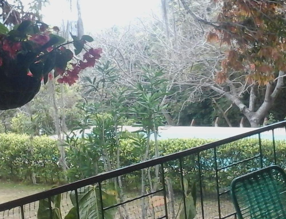Outdoor Pictures 18