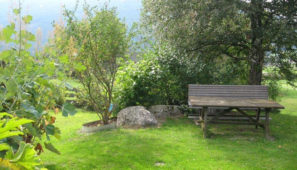 Outdoor Pictures 9