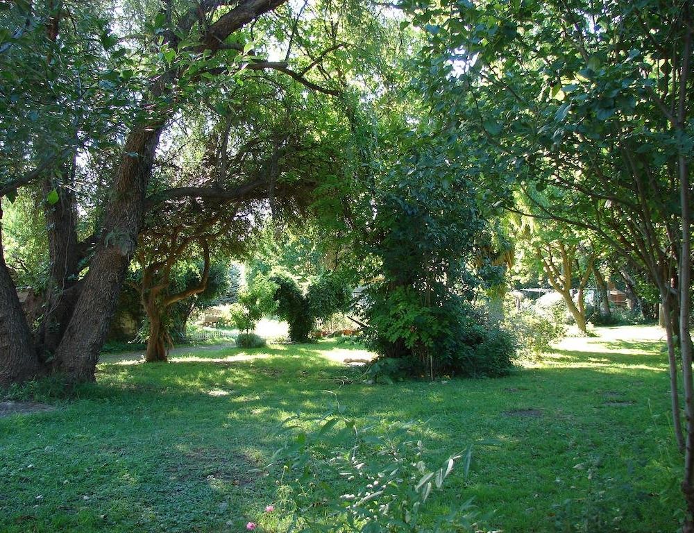 Outdoor Pictures 6