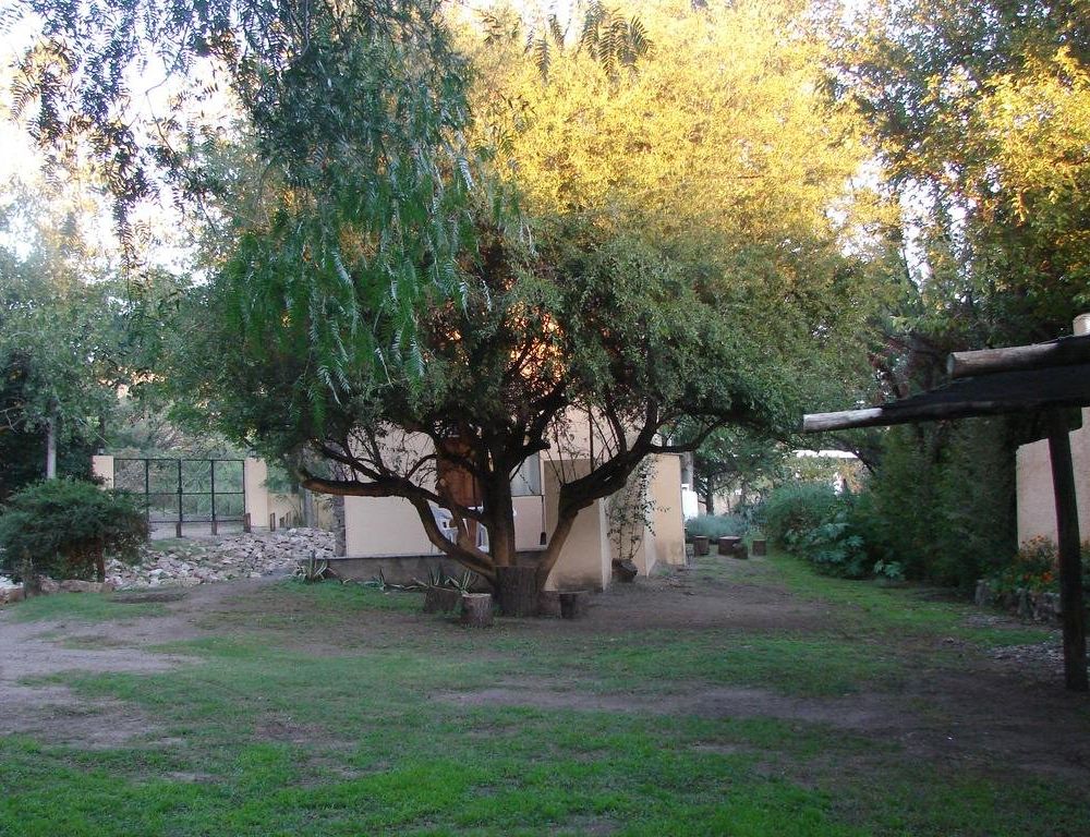 Outdoor Pictures 7