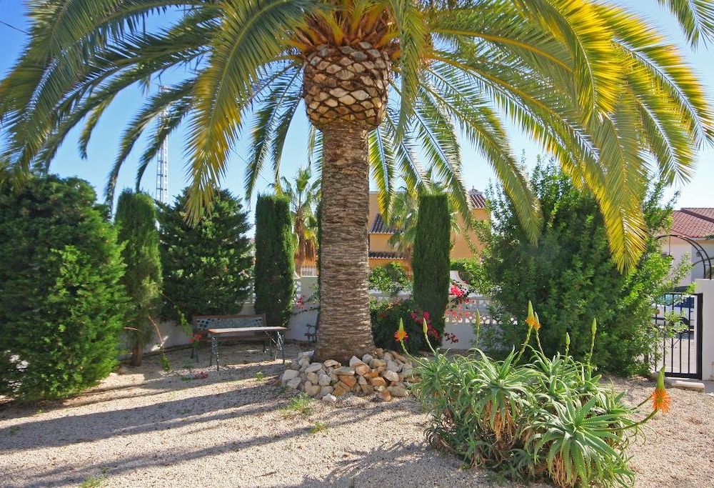 Outdoor Pictures 9