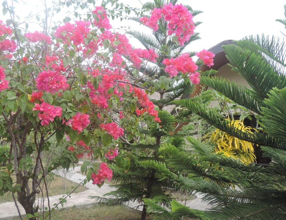 Outdoor Pictures 18