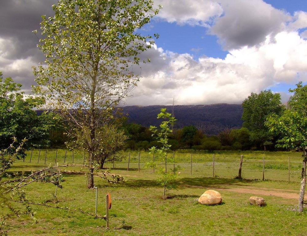 Outdoor Pictures 18