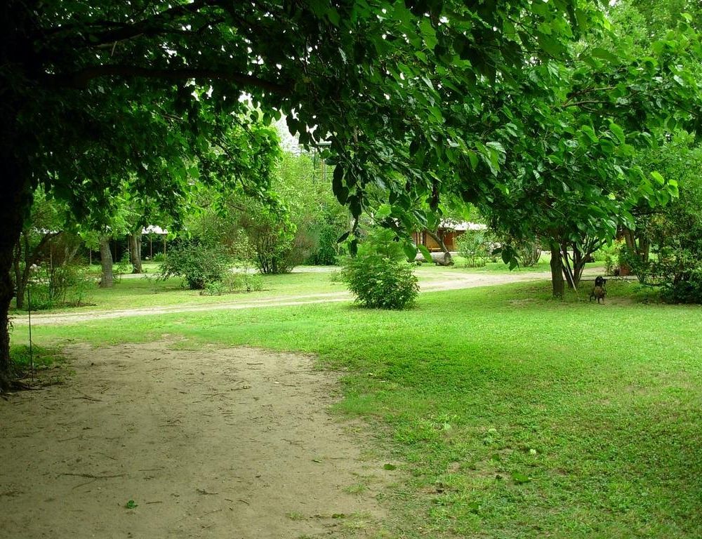 Outdoor Pictures 22