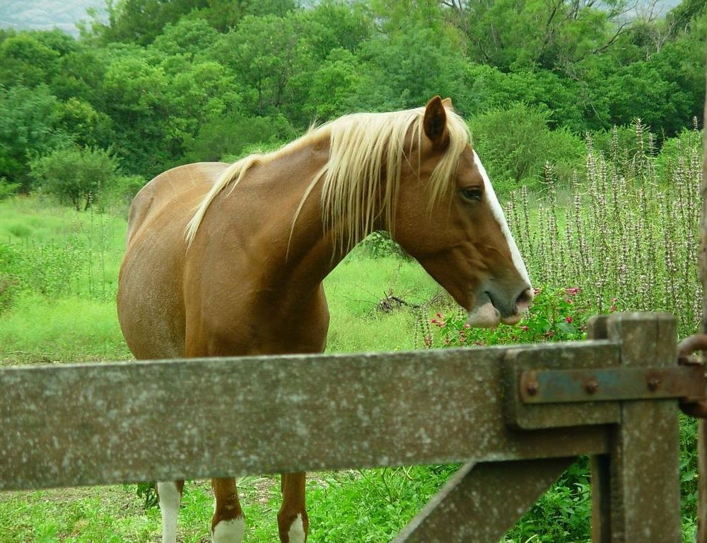Outdoor Pictures 17