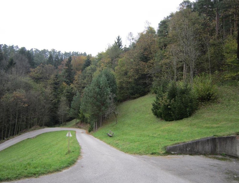 Outdoor Pictures 13