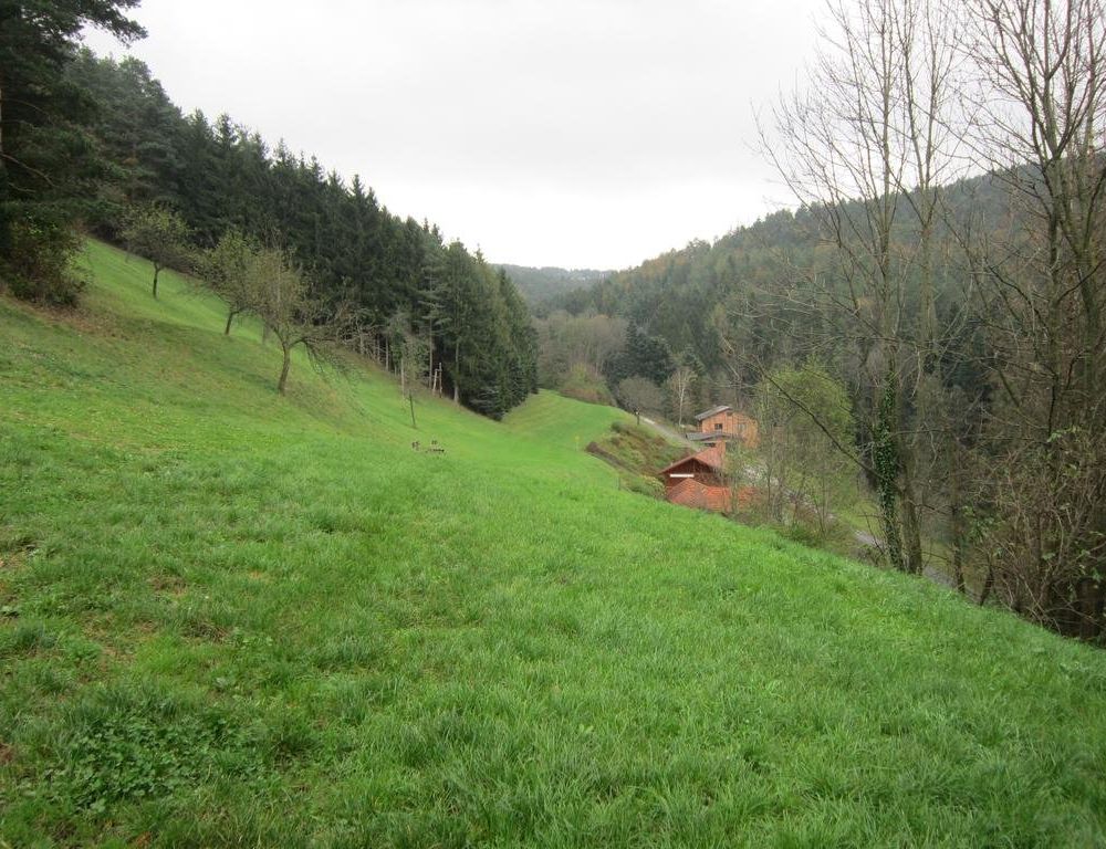 Outdoor Pictures 11