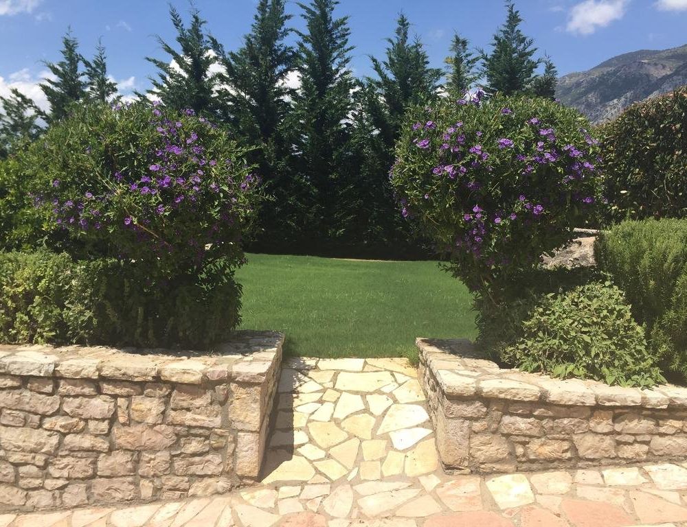 Outdoor Pictures 21