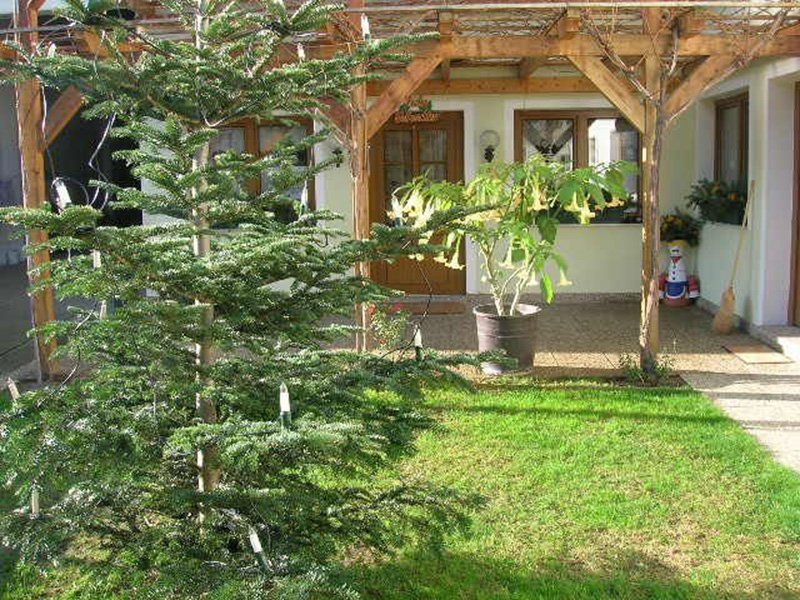 Outdoor Pictures 6